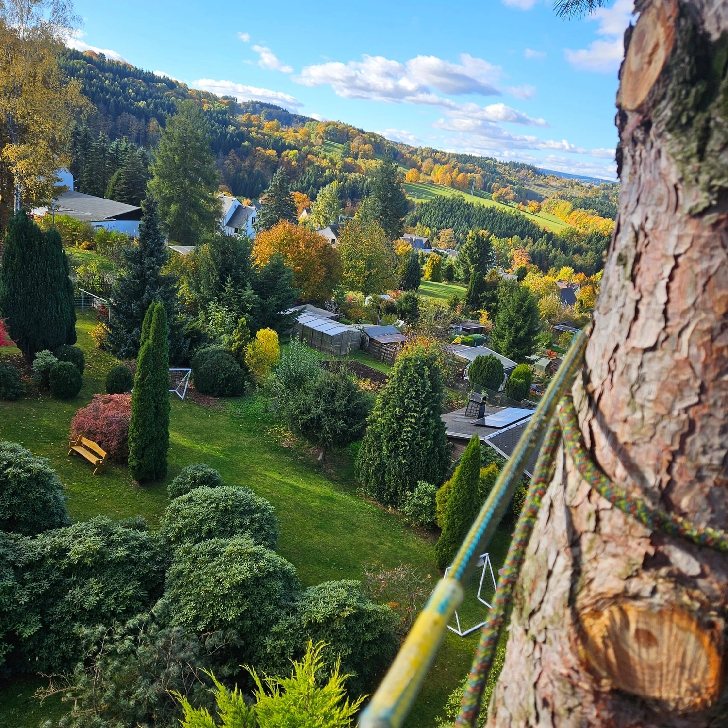 Baumpflege Schubert - Baumpflege - Gartenblick von einem Baum