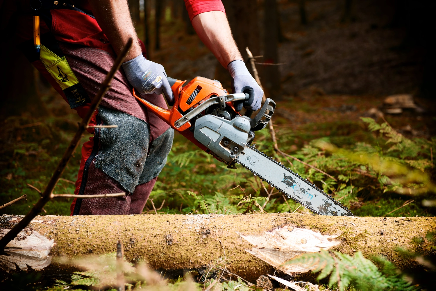 Baumpflege Schubert - Baumpflege - Waldarbeiterin schneidet liegendes Holz - Entasten 